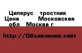 Циперус - тростник › Цена ­ 200 - Московская обл., Москва г.  »    